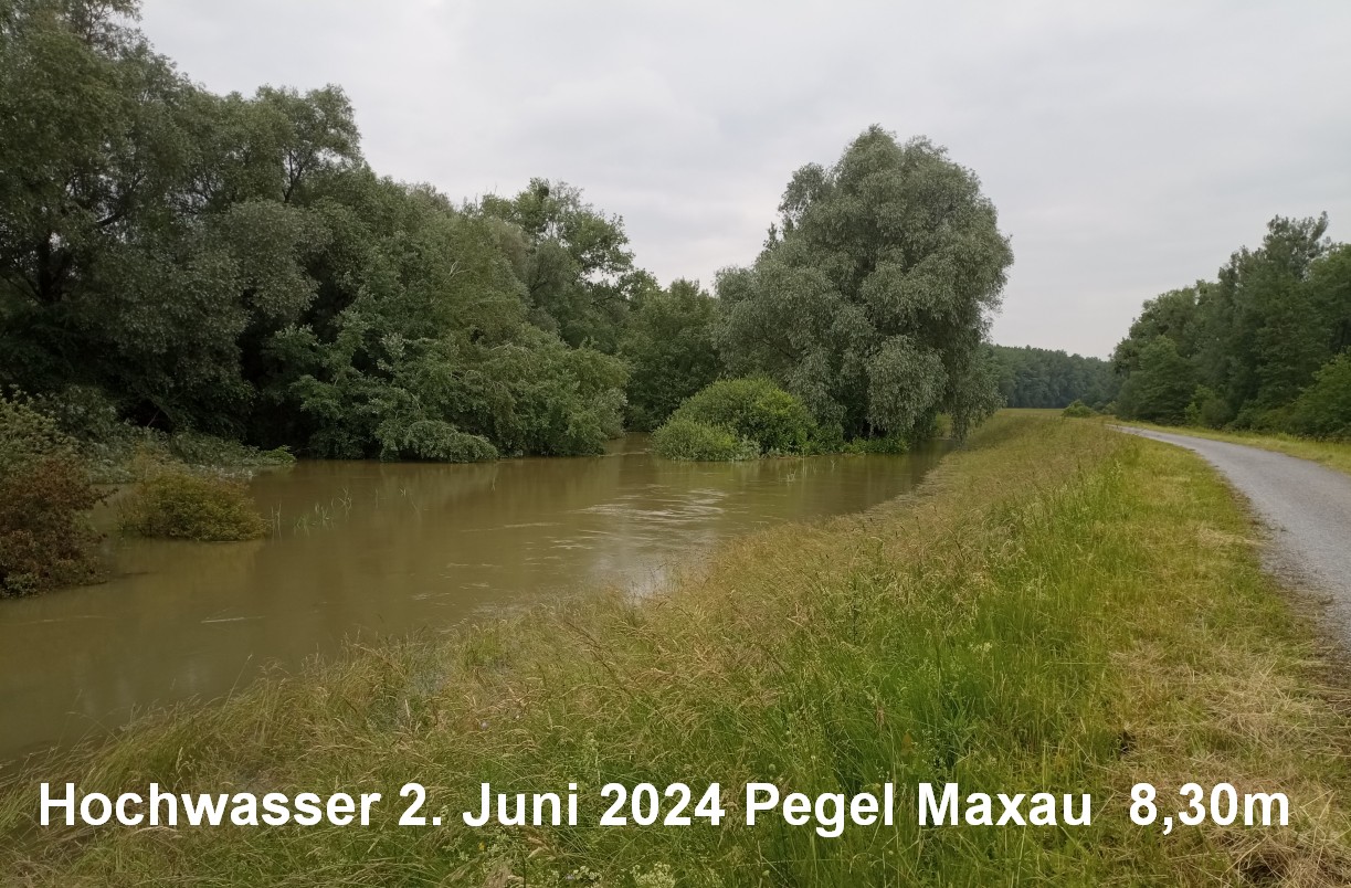 Rheindeich bei 8,30 m Pegel Maxau